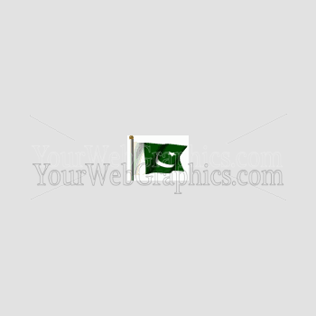 illustration - pakistan_flag-gif
